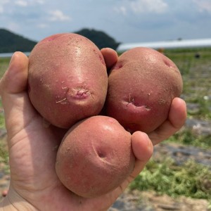 상품 섬네일